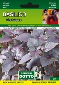 Basilico Rosso - Basilico Nero - Basilico Violetto - Ocimum basilicum ' Red Rubin '- busta semi