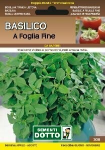 BASILICO GRECO / A FOGLIA FINE - Ocimum basilicum - busta semi