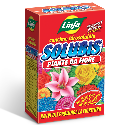 Solubis Piante da fiore concime solubile 1kg