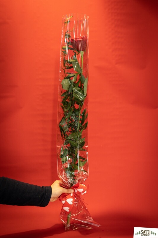 Mazzo ROSE ROSSE - 1 Rosa Confezionata