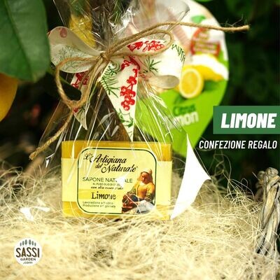 IDEA REGALO, Limone, Citrus Limon - CON SAPONETTA AL LIMONE vaso Ø21 cm