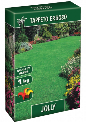 Semi per Tappeto Erboso Jolly 1 KG Loietto Festuca Poa, sementi, semenza per prato.