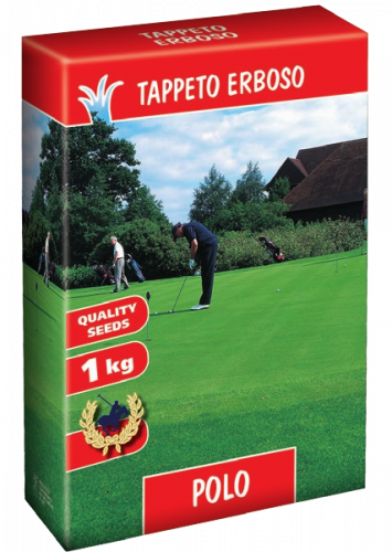 TAPPETO ERBOSO POLO SEMI 1 KG Loietto Festuca Poa SEME SEMENTI SEMENZA PRATO