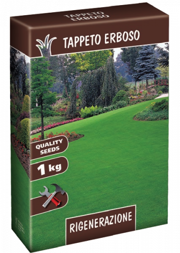 TAPPETO ERBOSO RIGENERAZIONE SEMI 1 KG LOIETTO SEMENTI SEMENZA PRATO