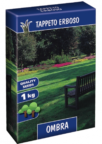 TAPPETO ERBOSO OMBRA SCATOLA SEMI 1 KG SEMENTI SEME PRATO SEMENZA FESTUCA POA AGROSTIDE