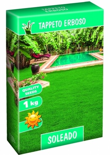 TAPPETO ERBOSO SOLEADO SEMI 1 KG SEMENTI SEMENZA SEME PRATO LOIETTO FESTUCA