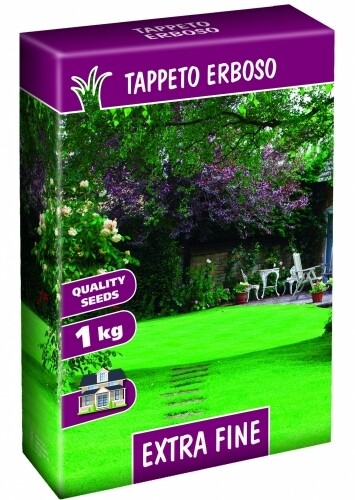 TAPPETO ERBOSO Extra Fine SCATOLA SEMI 1 KG Sementi Semenza Prato. Poa Festuca Agrostide