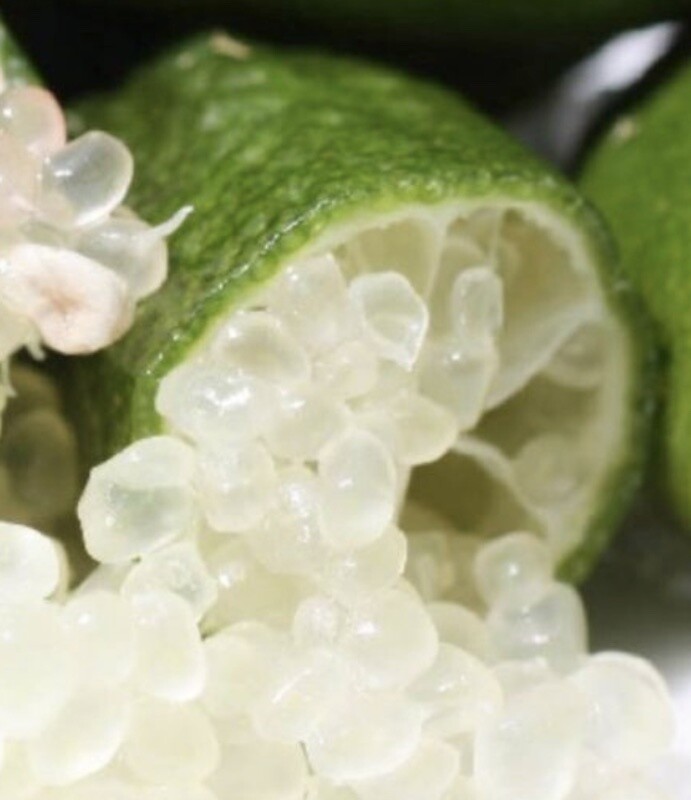 Citrus australasica, Finger Lime, Limone Caviale - vaso Ø21 cm Citrus australasica, Finger Lime, Limone Caviale - vaso Ø21 cm