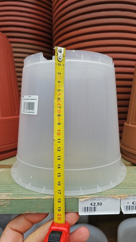 VASO TRASPARENTE PER ORCHIDEE