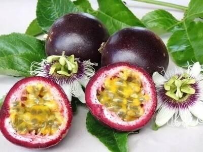 Passiflora Edulis, Maracuja, Frutto della Passione - vaso 22x22 cm, h 150 cm