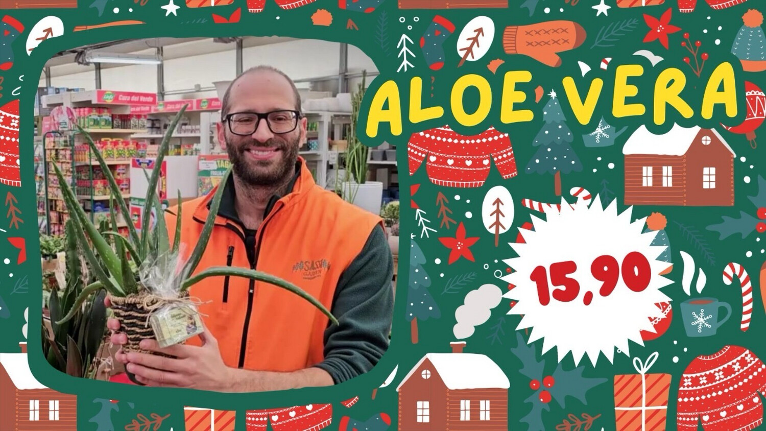 Aloe Vera - Confezione Regalo con Saponetta all'Aloe - vaso Ø12 cm Aloe Vera - Confezione Regalo con Saponetta all'Aloe - vaso Ø12 cm