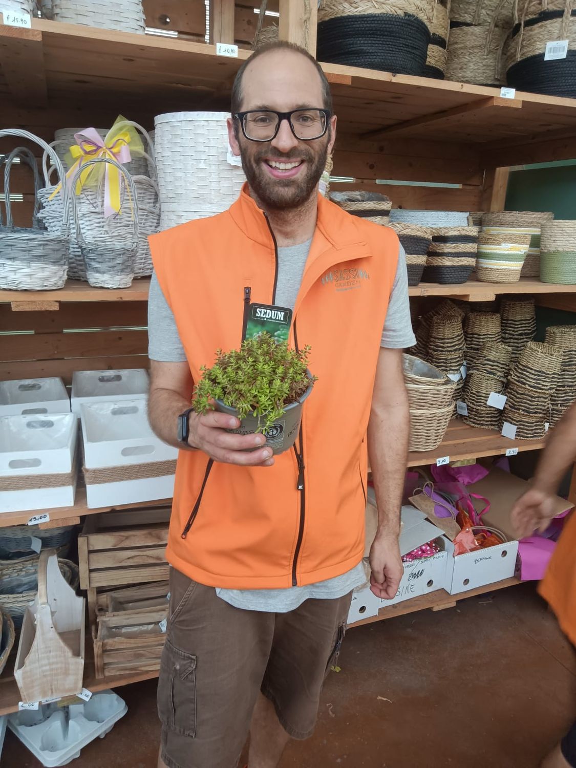 Sedum Rubrotinctum, Perle di Giada - vaso Ø14 cm