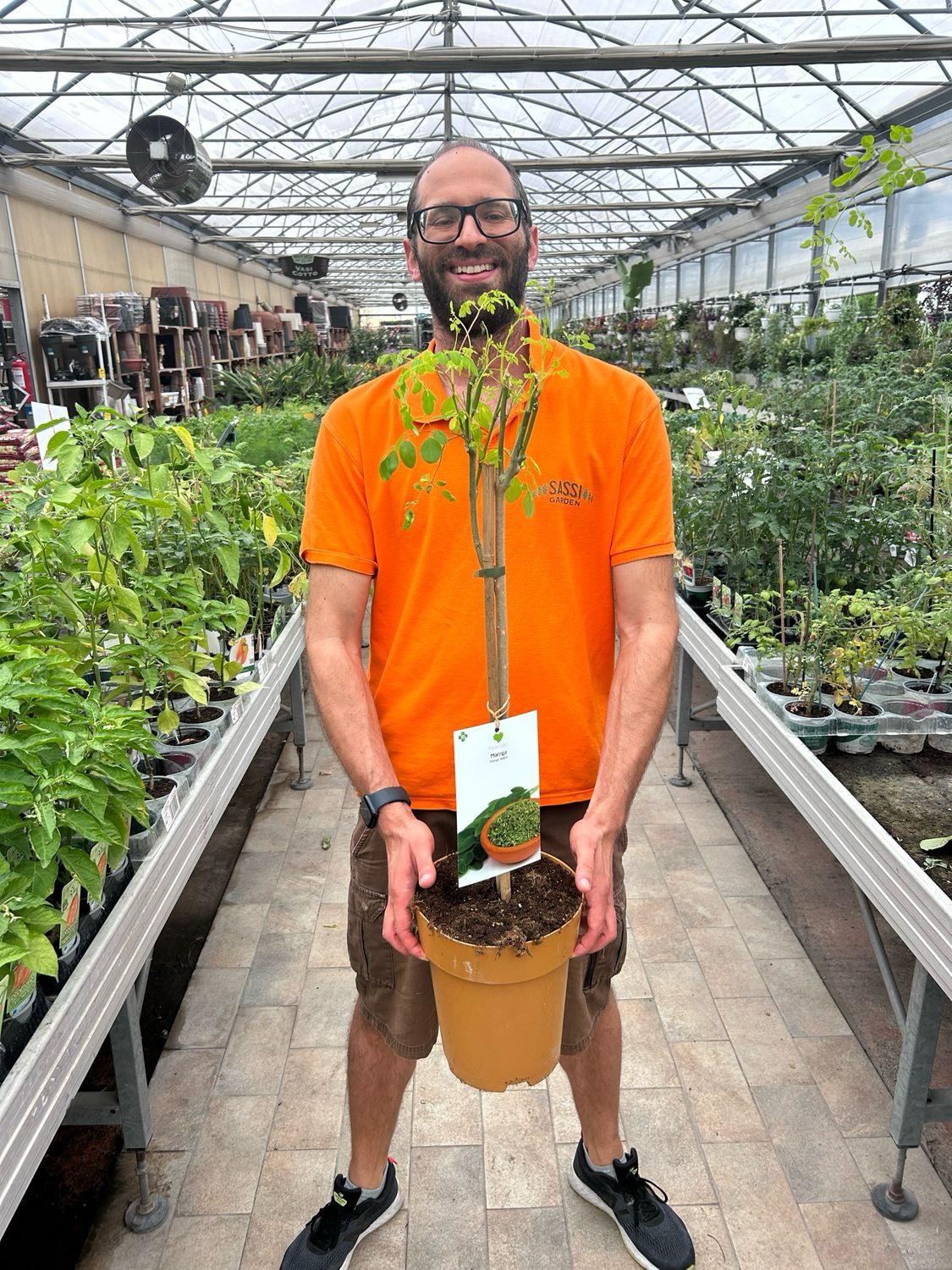 Moringa Oleifera: Un Albero Che Arriva Fino A 9 Metri E Racchiude Benessere - Foto 7