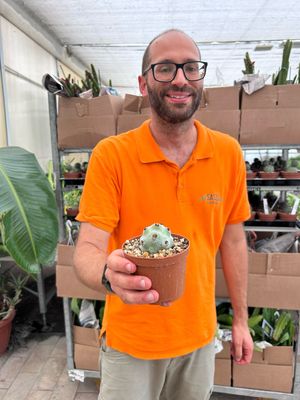 Tephrocactus calvus - vaso Ø10 cm