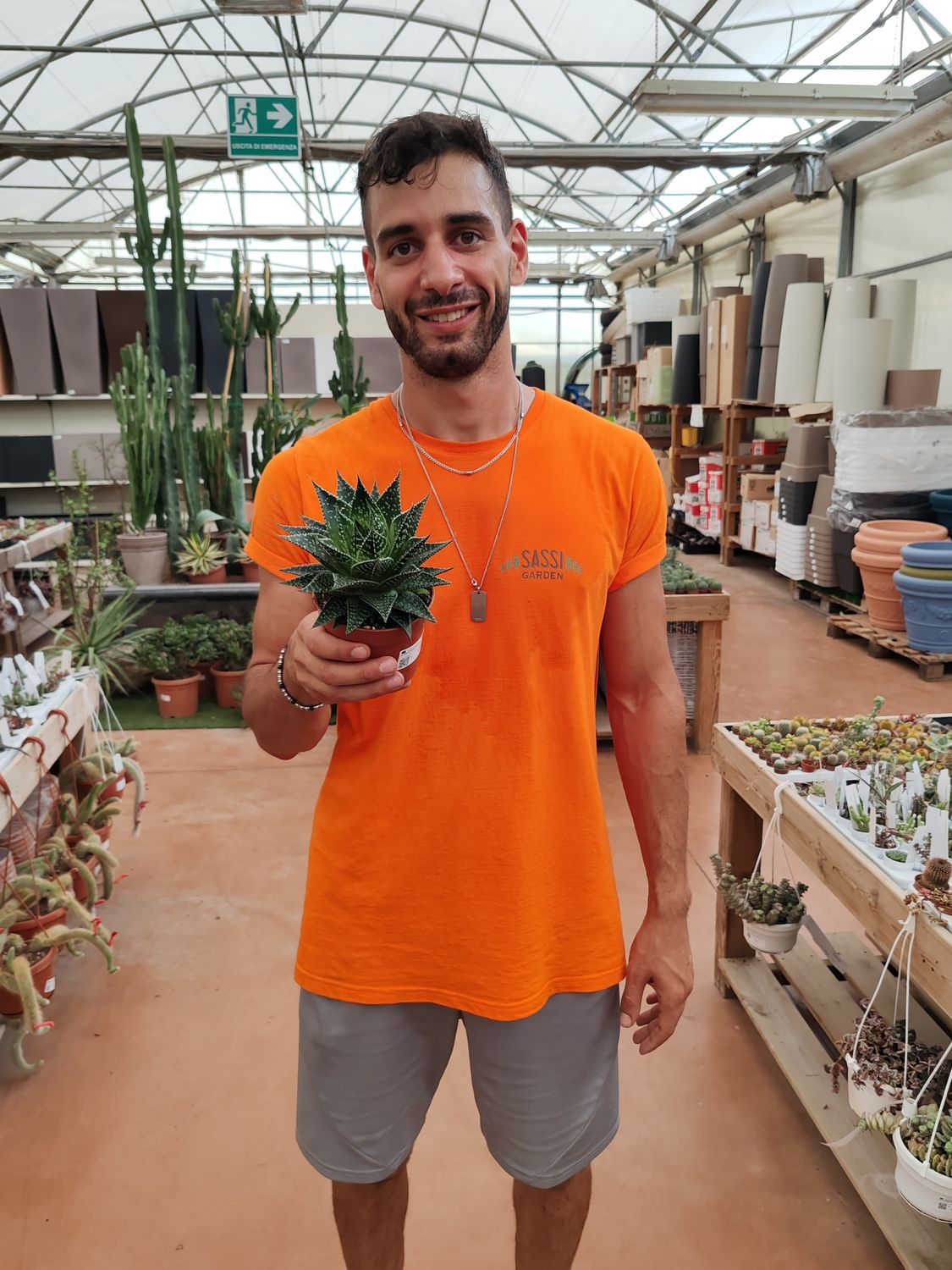 xGasteraloe &#39;Aurora&#39; - vaso Ø10.5 cm