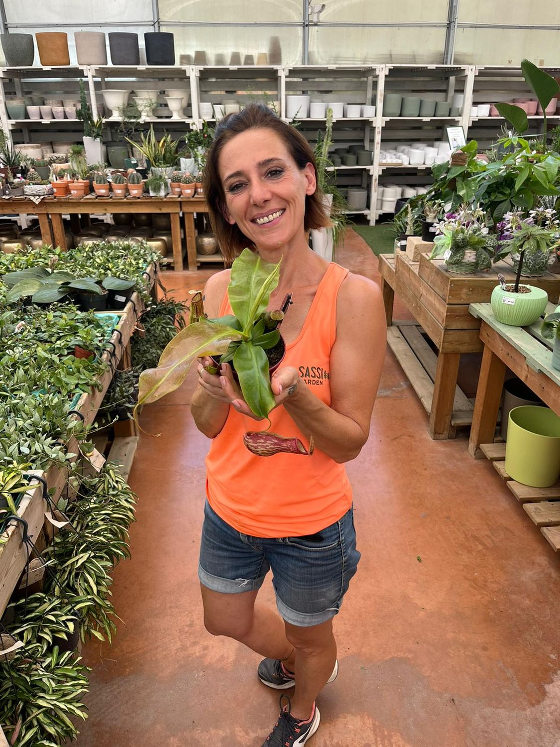 Nepenthes Alata 'Gaya', Nepenthes Carnivora, Pianta Brocca - vaso Ø8cm Nepenthes Alata 'Gaya', Nepenthes Carnivora, Pianta Brocca - vaso Ø8cm