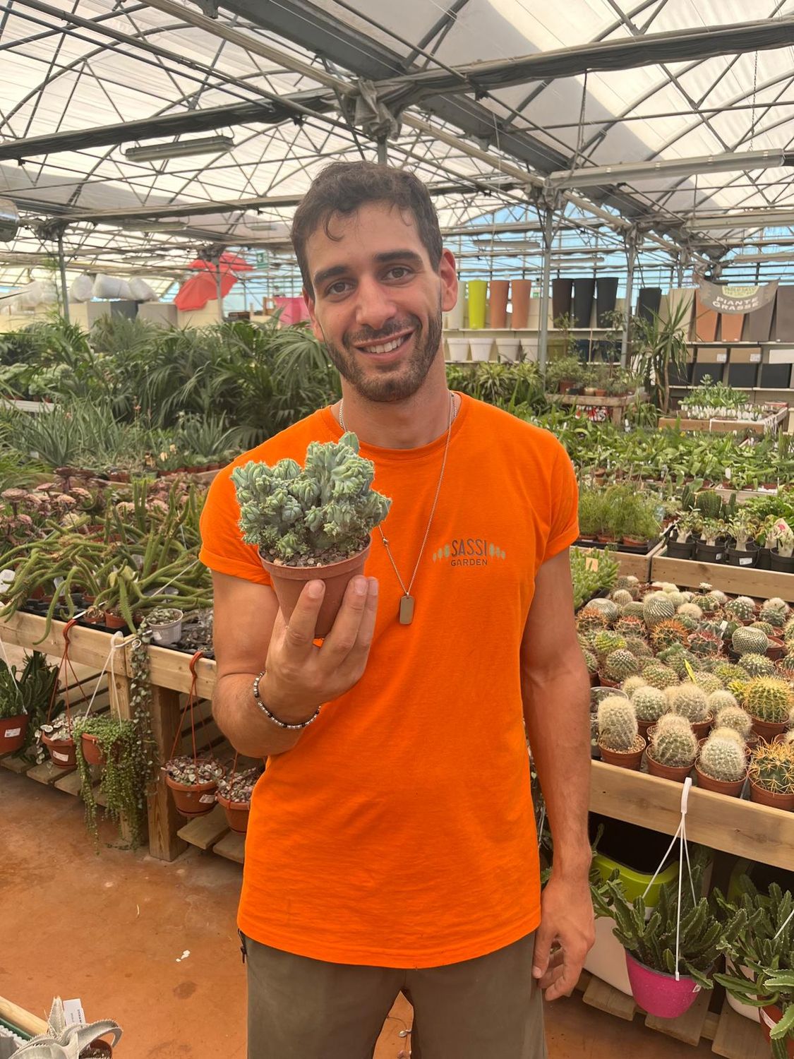 Myrtillocactus geometrizans forma cristata, Mirtillocactus crestato - vaso Ø10 cm
