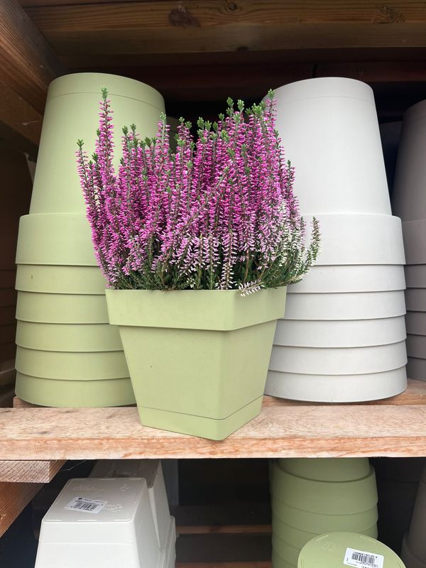 Vaso C-Smart ERBA