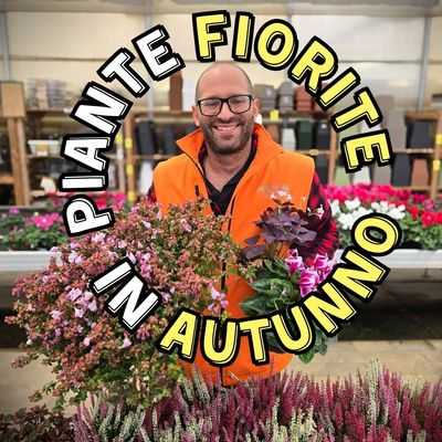 FIORITURE D'AUTUNNO