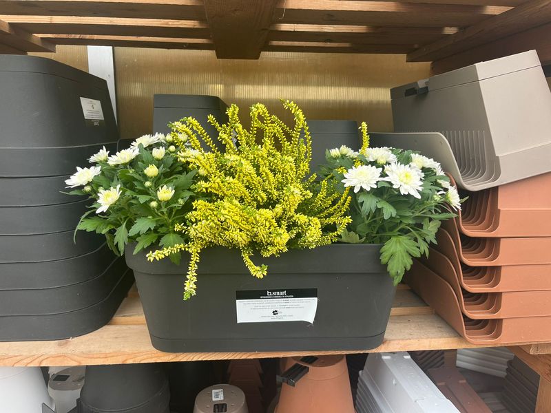 Vaschetta B-Smart ERBA