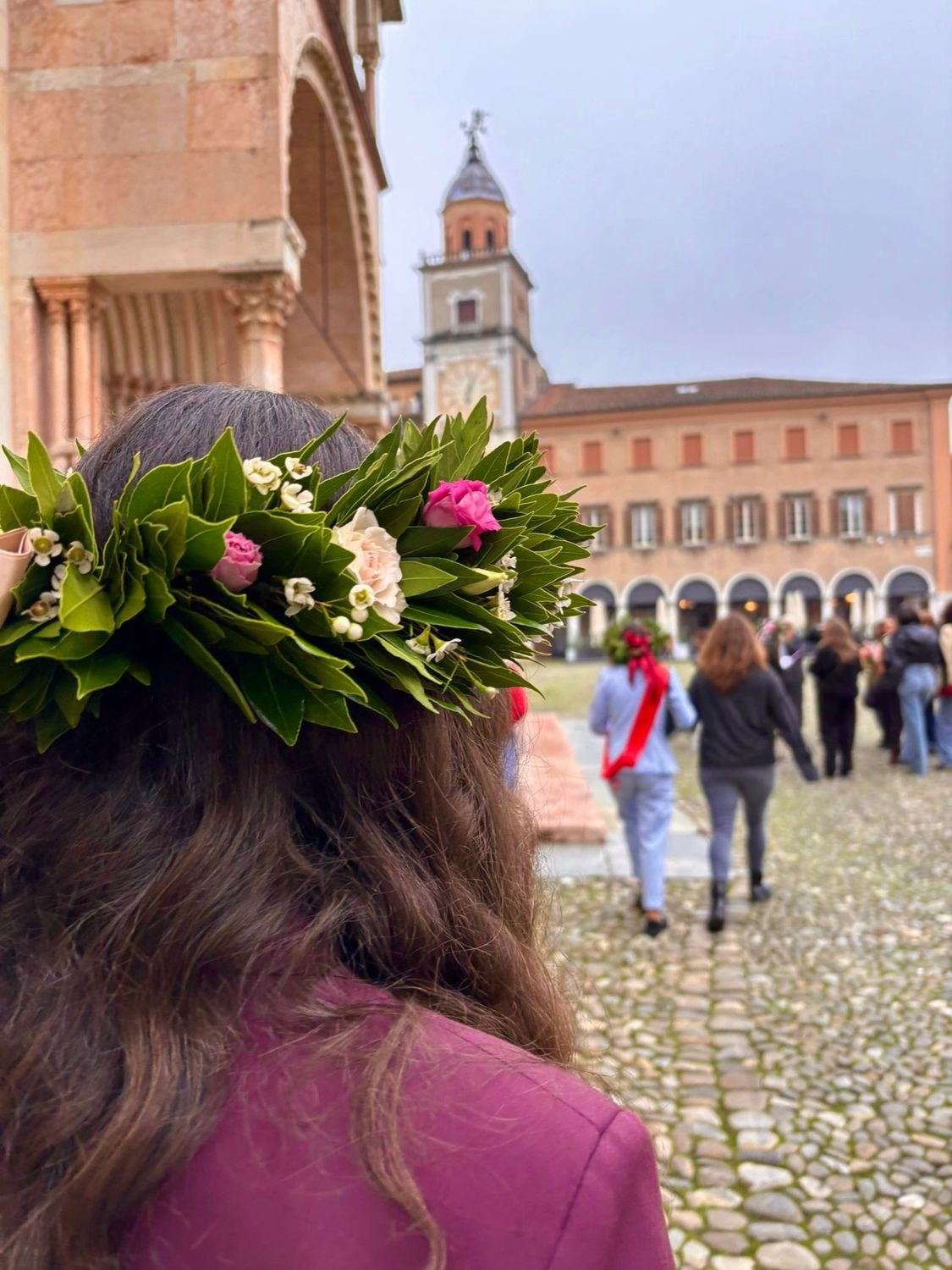 CORONA DI LAUREA ALLORO (Laurus Nobilis)