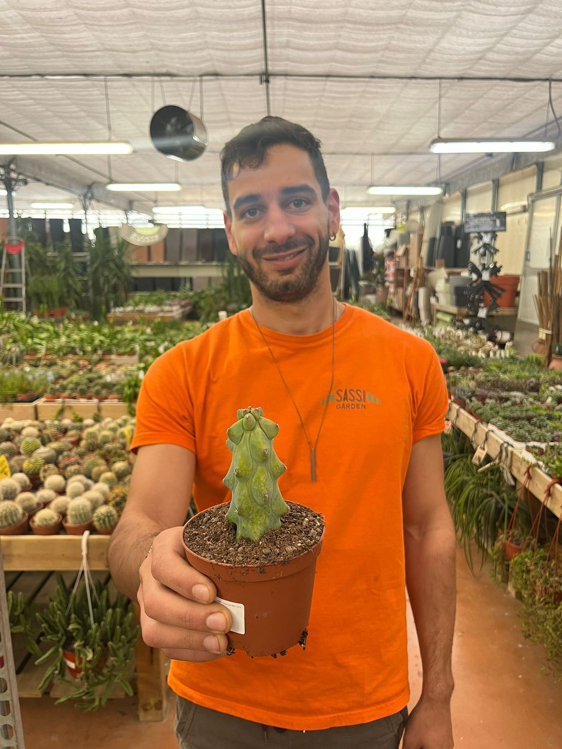 Myrtillocactus fukurokuryuzinboku - vaso Ø10.5 cm