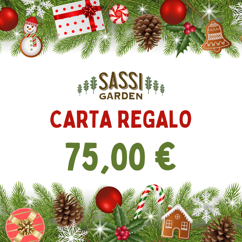 CARTA REGALO €75,00
