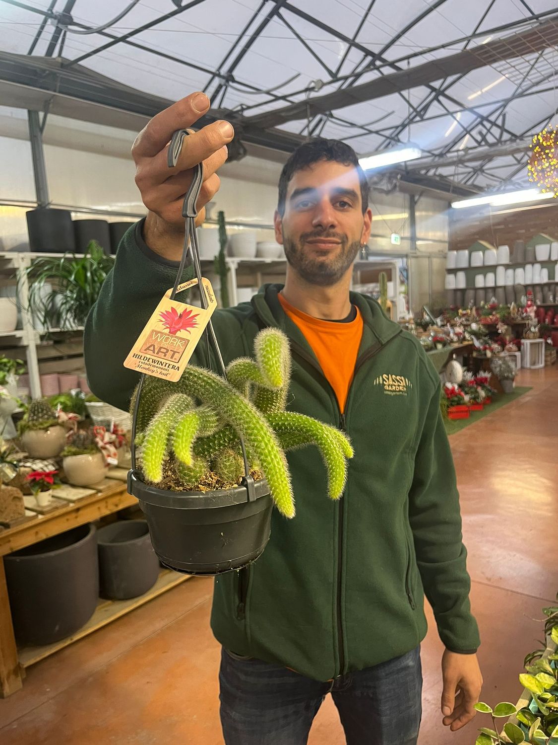 Coda di Scimmia, Hildewintera Colademononis - basket Ø14 cm