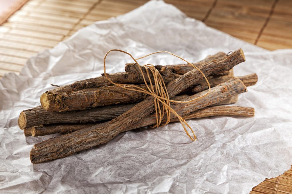 Liquirizia, Glycyrrhiza glabra - vaso 12