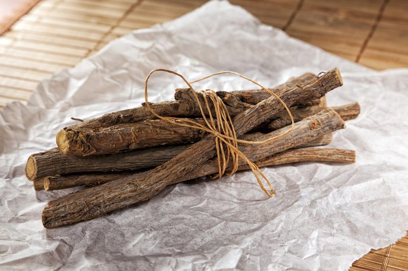 Liquirizia, Glycyrrhiza glabra - vaso 12
