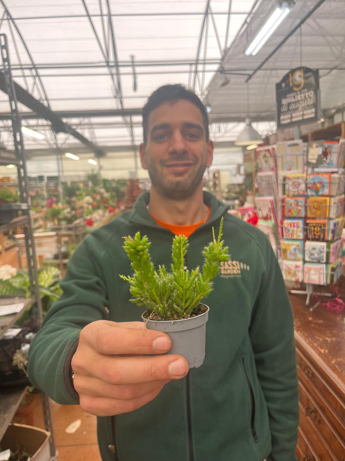 Rhipsalis Crispata - vaso Ø5.5