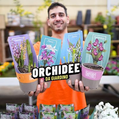 ORCHIDEE DA ESTERNO