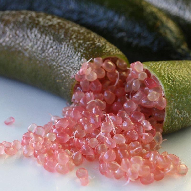 Citrus australasica, Finger Lime, Limone Caviale - vaso Ø21 cm