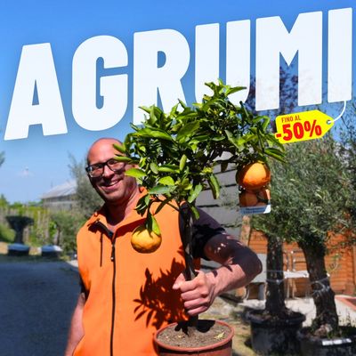 AGRUMI