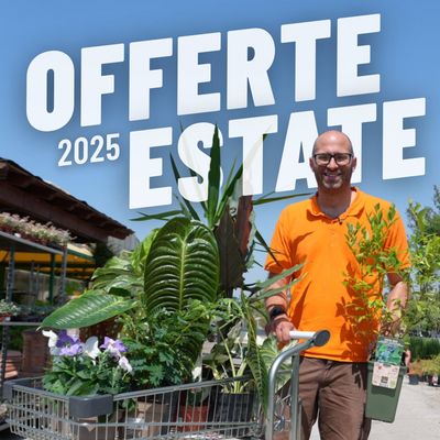 OFFERTE ESTATE 2025