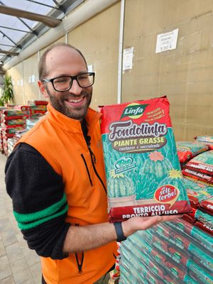 Terriccio per Piante Grasse Fondolinfa, Linfa - 10 lt