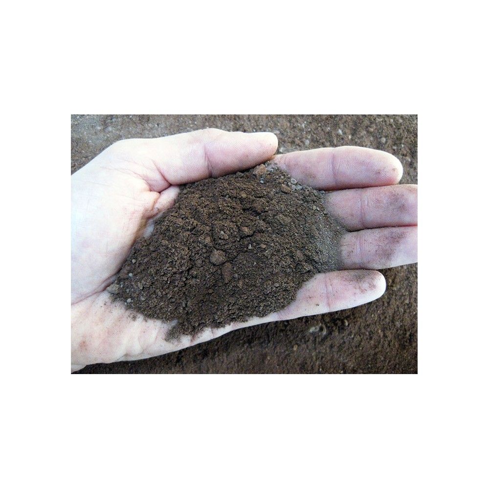 Lapillo vulcanico rosso in sabbia, lava vulcanica, 0/3 mm Geosism - 1kg