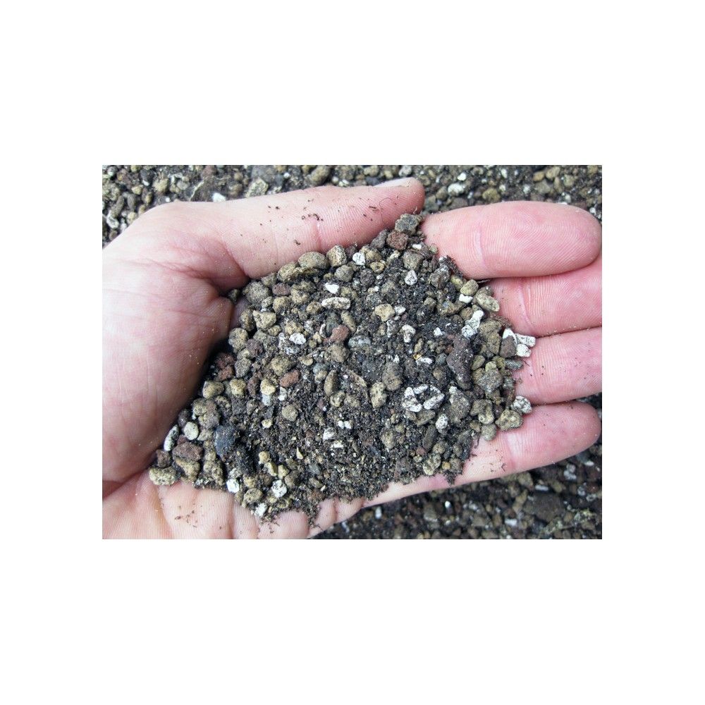 Terriccio, substrato professionale per piante grasse Geosism - 1lt