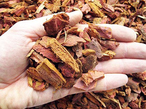 Corteccia di larice rossa portoghese 10/20mm Geosism - 150g