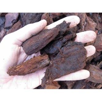 Corteccia di larice rossa portoghese 20/40mm Geosism - 150g