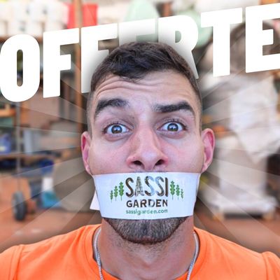 OFFERTE DI AGOSTO