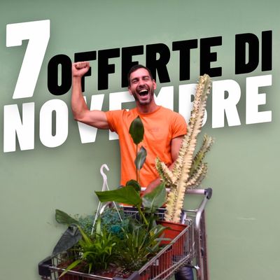 7 OFFERTE DI NOVEMBRE