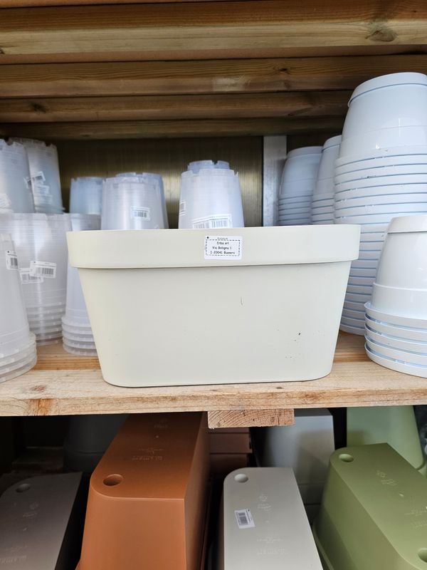 Vaso da parete in plastica W-SMART col. Beige - L 36 cm Vaso da parete in plastica W-SMART col. Beige - L 36 cm