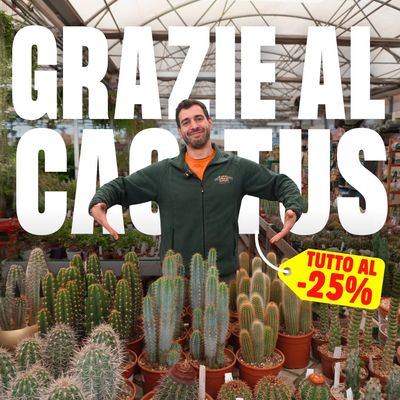 PIANTE GRASSE -25%