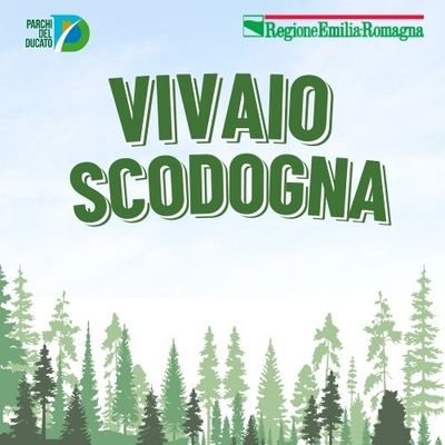 DISTRIBUZIONE STRAORDINARIA AUTUNNO-INVERNO 2026 VIVAIO SCODOGNA DAL 1 NOVEMBRE 2026