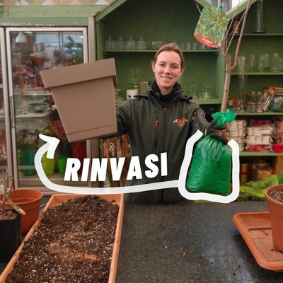 RINVASI PIANTE A RADICE NUDA