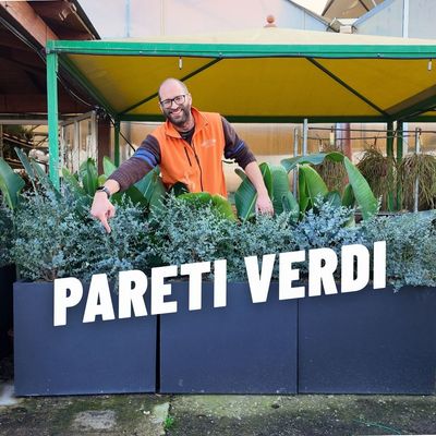 PARETI VERDI