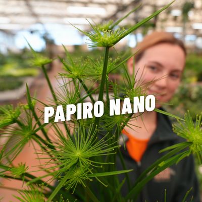 PAPIRO NANO