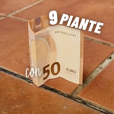 9 PIANTE CON 50 €