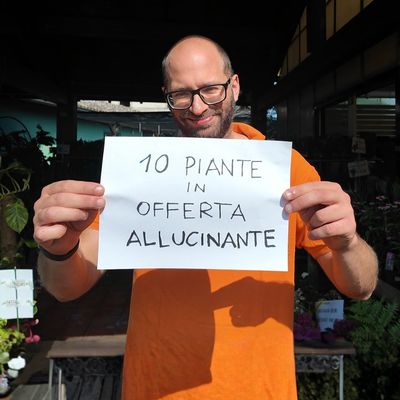 10 PIANTE IN OFFERTA